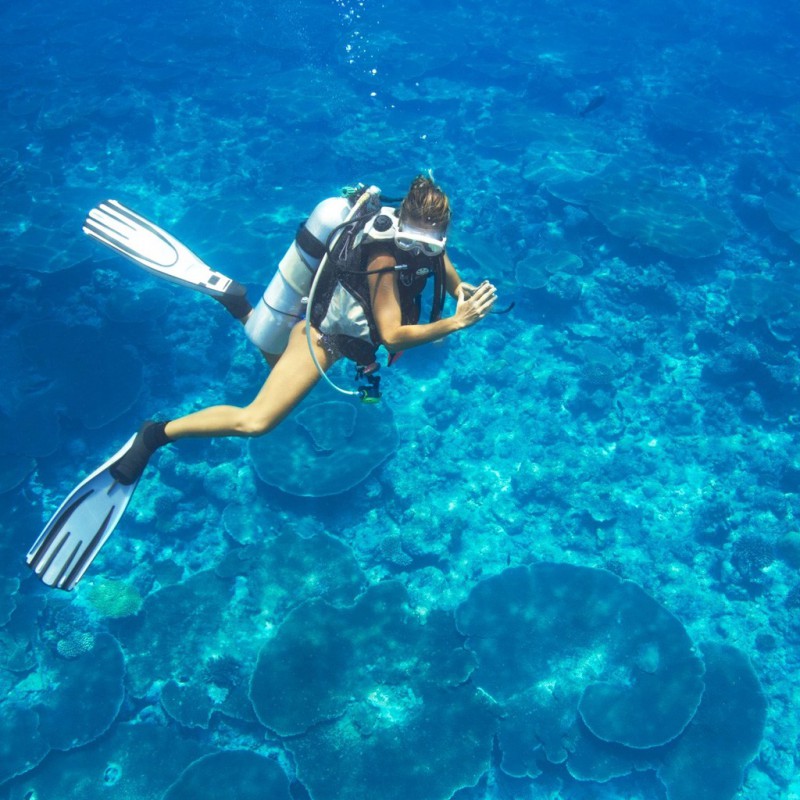 PADI Divemaster