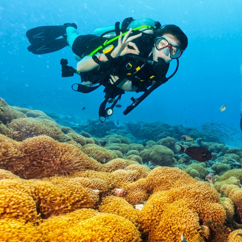 Milieu Naturel Open Water Diver 1 à 4 - Pack éco 1WK