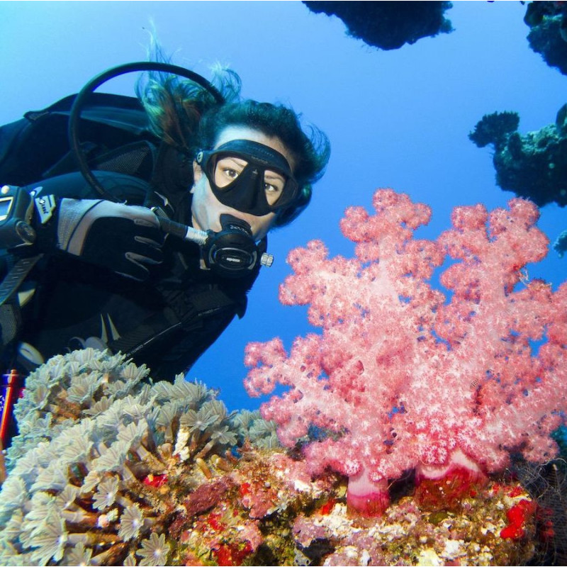 Brevet de plongée PADI Open Water Diver à Paris en 1 jour semaine.