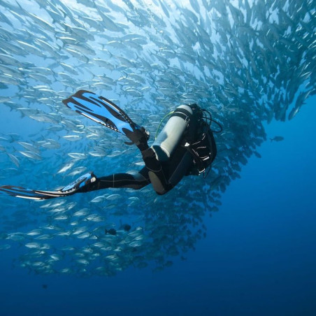 PADI O/Water Diver - Pack complet - Fosse de plongée et lac.