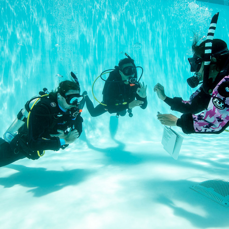 PADI OWSI