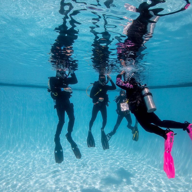PADI IDC